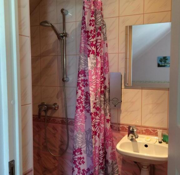 اتاق اکونومی, Lana House