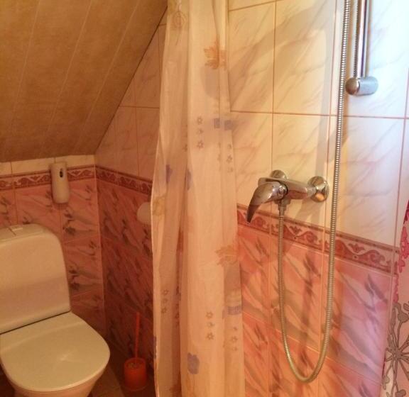 اتاق اکونومی, Lana House