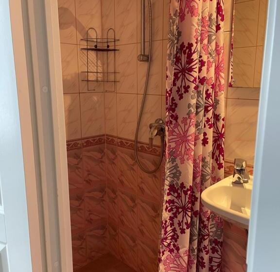 اتاق عادی, Lana House