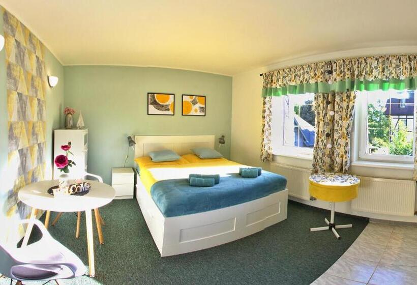 غرفة قياسية, Penzion Mini