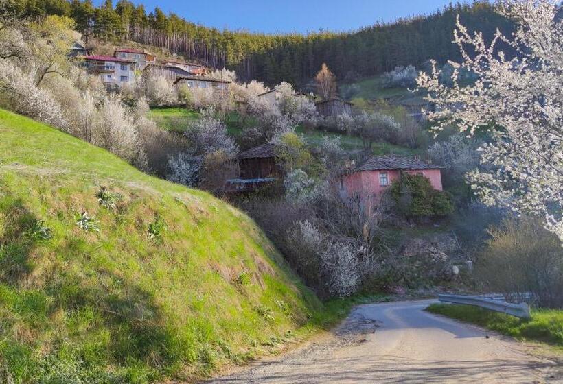 スタンダードシングルルーム, Zornica Guest House