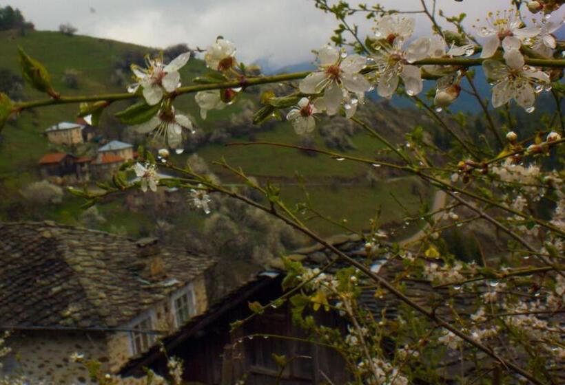 メゾネットスイート, Zornica Guest House