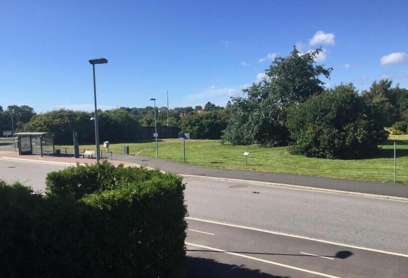 Апартаменты 1 Спальня, Bosmart Apartments