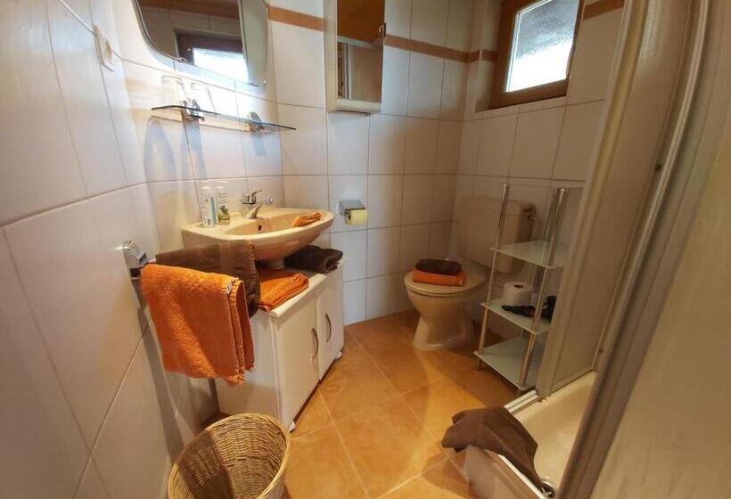 标准间带阳台, Mesnerhof Virgen