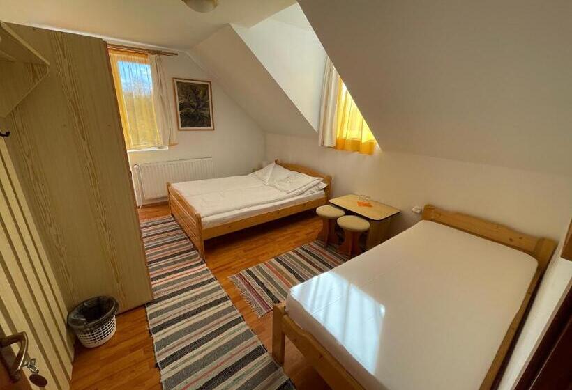 חדר סטנדרט לשלושה, Hétvezér Panzió