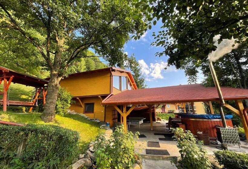 חדר דחוקס עם מיטת קינג, Hétvezér Panzió