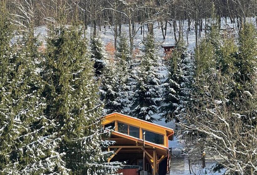Номер Deluxe Кровать Кинг, Hétvezér Panzió