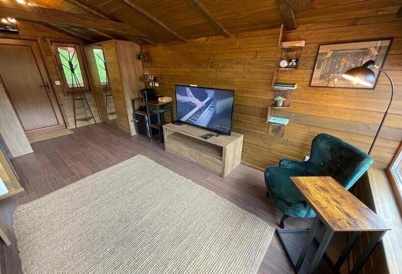 חדר דחוקס עם מיטת קינג, Hétvezér Panzió