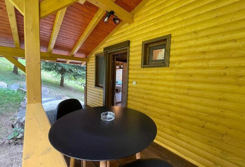 חדר דחוקס עם מיטת קינג, Hétvezér Panzió