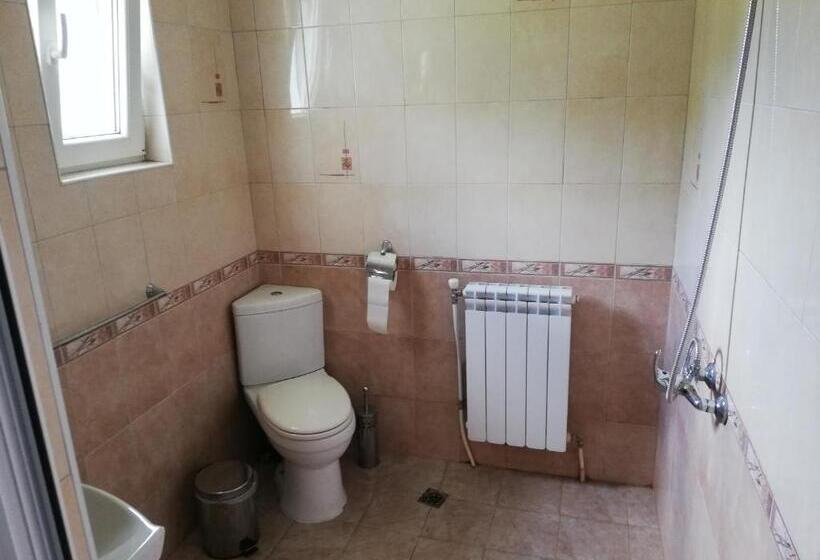 Номер Стандарт с Балконом, Guest House Bojana