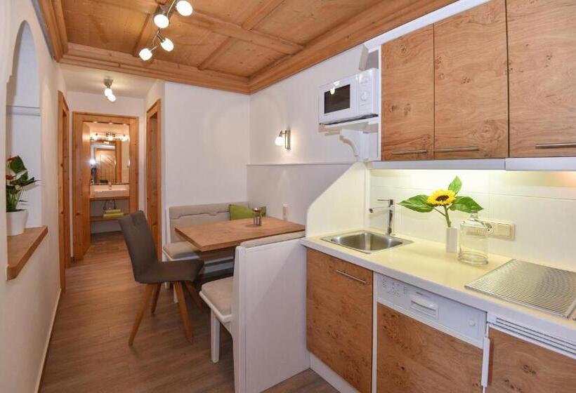 آپارتمان 1 خوابه با بالکن, Landhaus Trinker