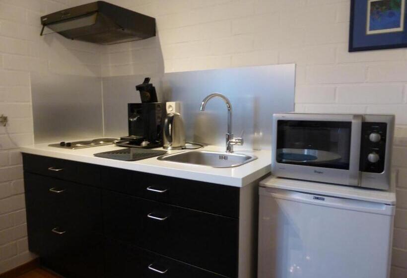 Студия Стандарт, Studio S Park Heverlee