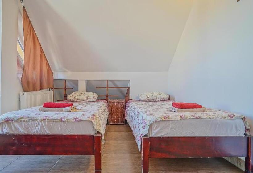 Номер Стандарт Трехместный, Pensiunea Hanna