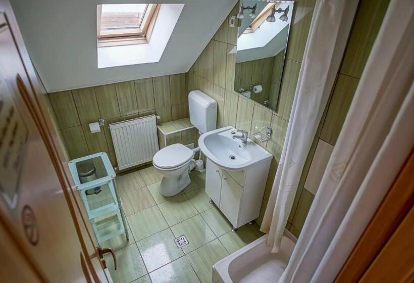 Номер Стандарт Трехместный, Pensiunea Hanna