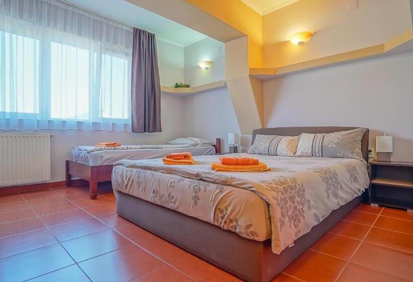 Номер Стандарт Трехместный, Pensiunea Hanna