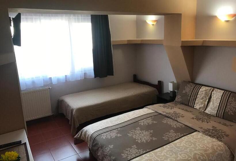 Номер Стандарт Трехместный, Pensiunea Hanna