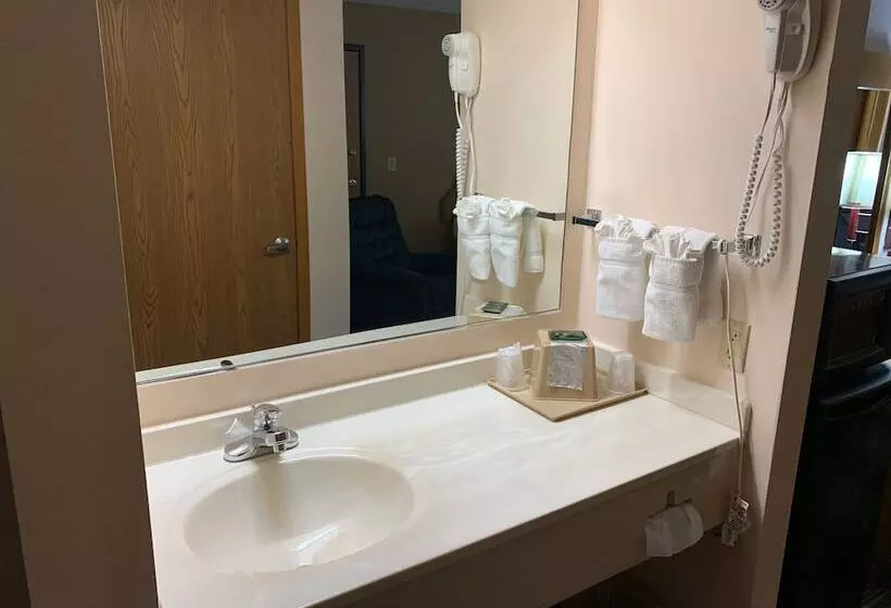 身障者適用シングルルーム, Budgetinn & Suites
