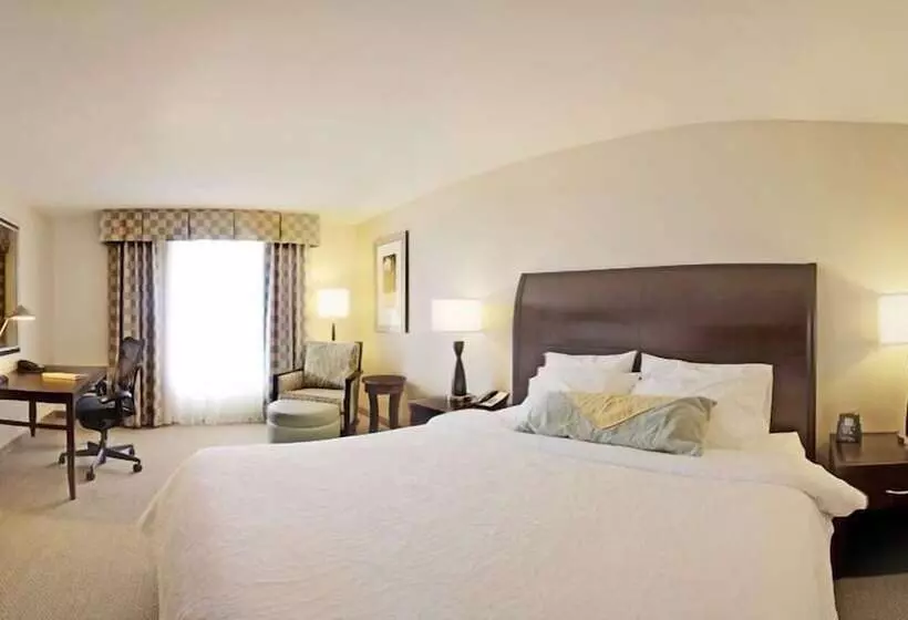 スタンダードルーム, Hilton Garden Inn Omaha East/council Bluffs