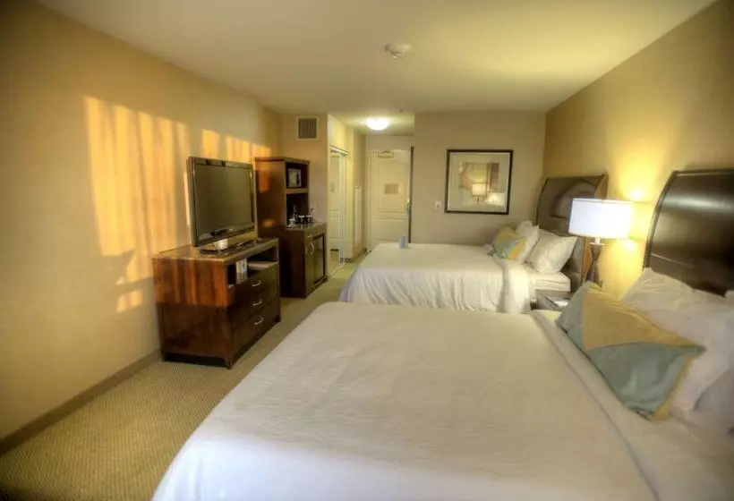 スタンダードルーム, Hilton Garden Inn Omaha East/council Bluffs