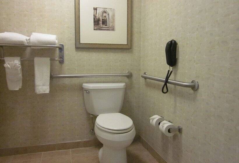 スタンダードルーム, Hilton Garden Inn Omaha East/council Bluffs