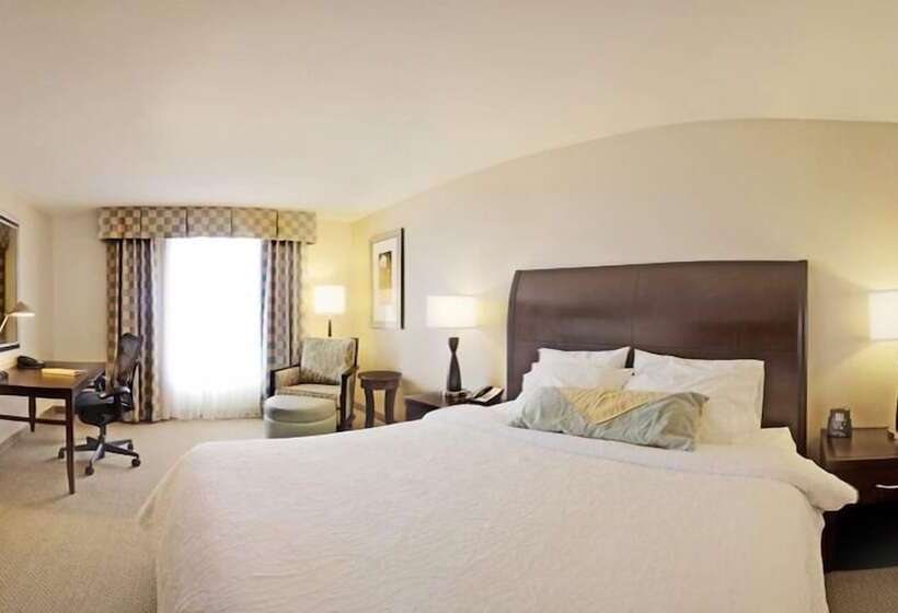 身障者適用スタンダードルーム, Hilton Garden Inn Omaha East/council Bluffs