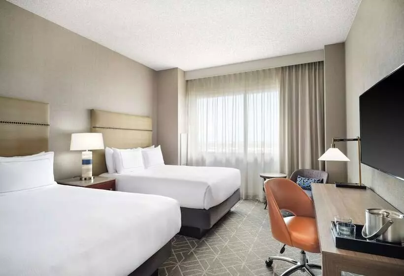 ２ダブルベッドのスタンダードルーム, Hilton Richardson Dallas