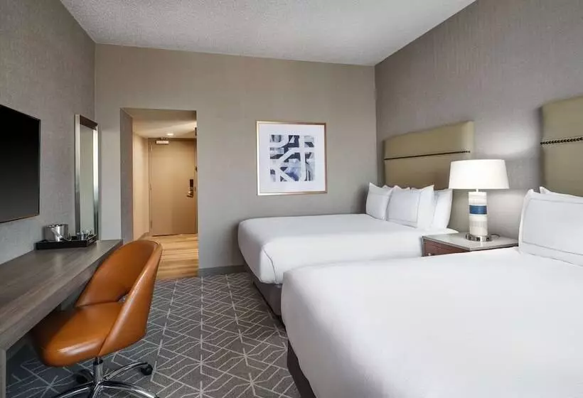 ２ダブルベッドのスタンダードルーム, Hilton Richardson Dallas