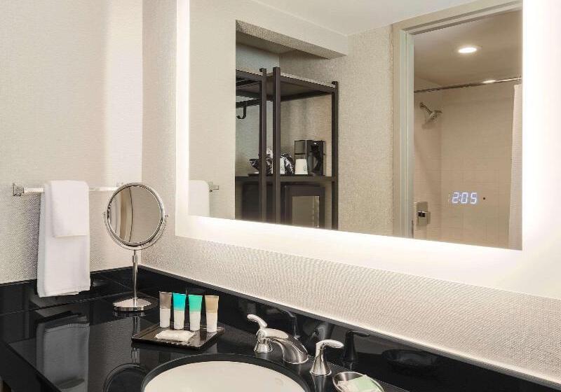 غرفة قياسية سرير كينج, Hilton Richardson Dallas