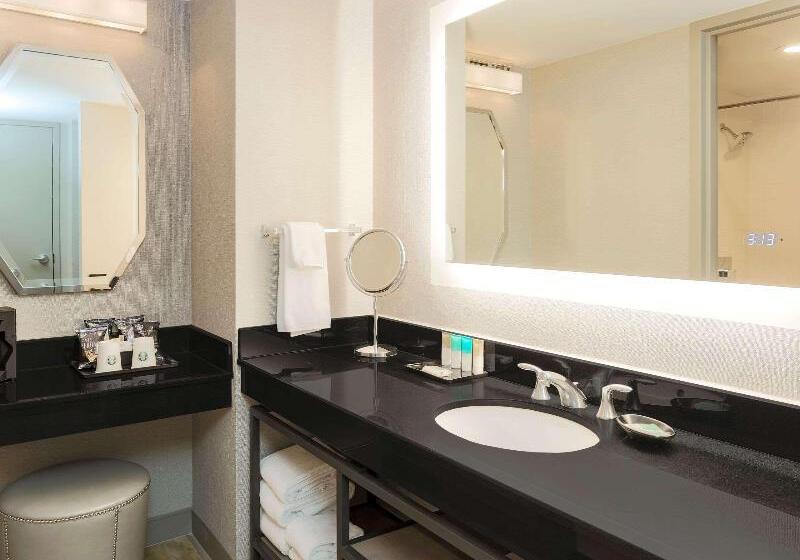 キングサイズベッドのスタンダードルーム, Hilton Richardson Dallas