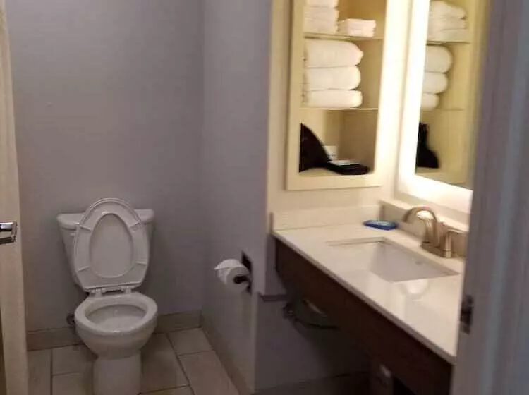 スタンダードルーム, Holiday Inn Express Hotel & Suites Hillview By Ihg