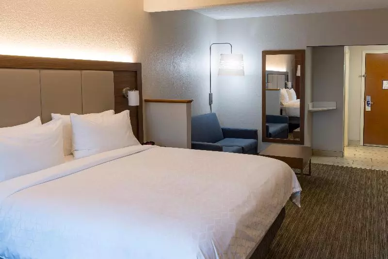 キングサイズベッドのスイートルーム, Holiday Inn Express Hotel & Suites Hillview By Ihg