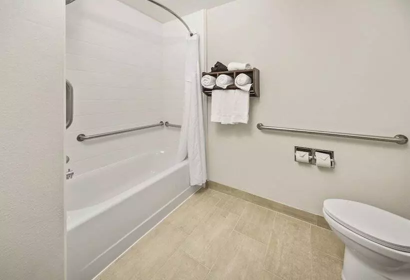 身障者適用スイートルーム, Holiday Inn Express Chicago Northwest Vernon Hills, An Ihg