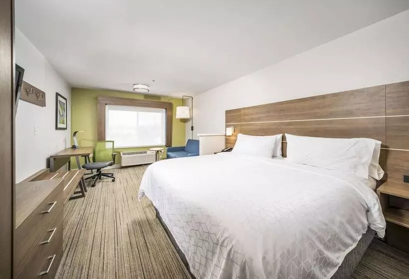 身障者適用スイートルーム, Holiday Inn Express Chicago Northwest Vernon Hills, An Ihg