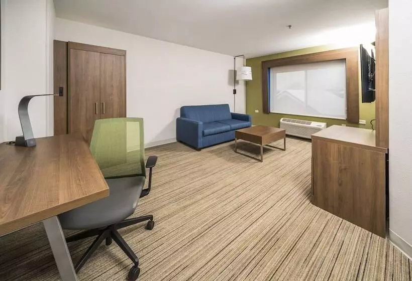 身障者適用スイートルーム, Holiday Inn Express Chicago Northwest Vernon Hills, An Ihg