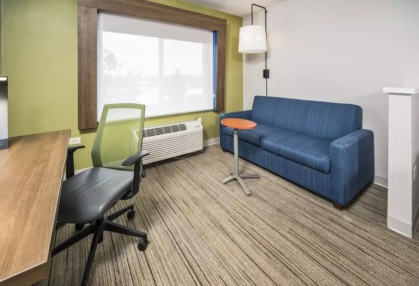 身障者適用スイートルーム, Holiday Inn Express Chicago Northwest Vernon Hills, An Ihg