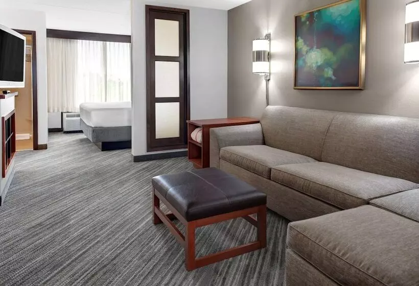ダブルベッドスタンダードルーム, Hyatt Place Atlanta / Alpharetta / Windward Parkway
