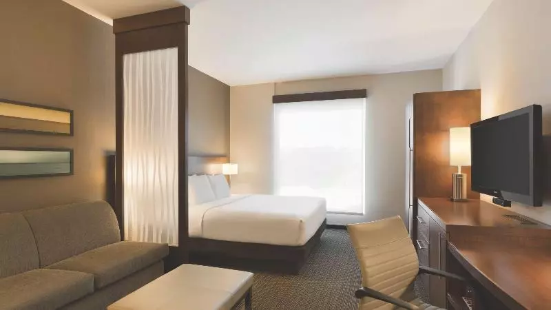 اتاق استاندارد با تخت بزرگ, Hyatt Place Savannah Airport