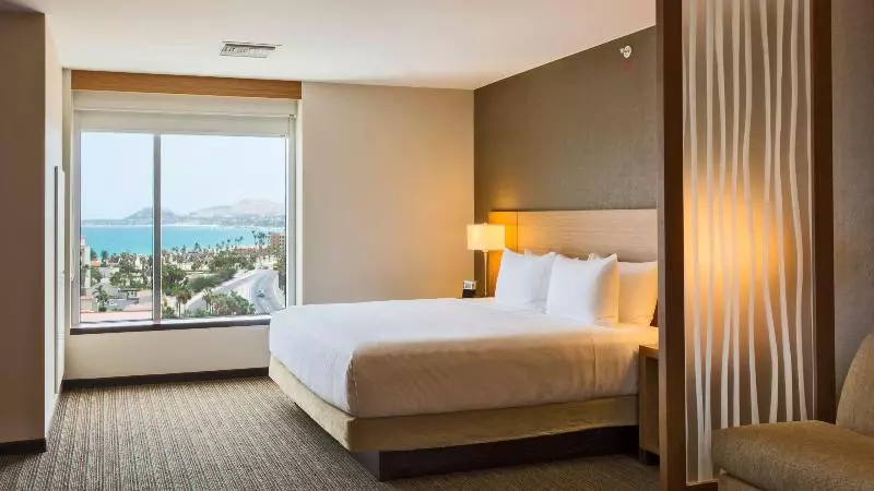 اتاق استاندارد با تخت بزرگ, Hyatt Place Savannah Airport