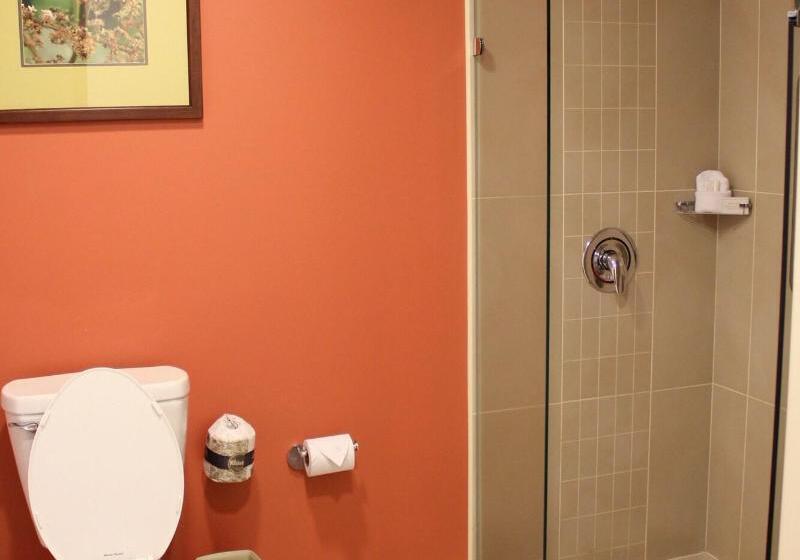 חדר סטנדרט עם מיטת קינג, Hyatt Place Savannah Airport