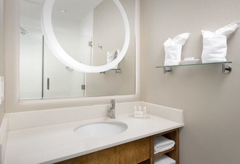 إستوديو قياسى, Springhill Suites Potomac Mills Woodbridge