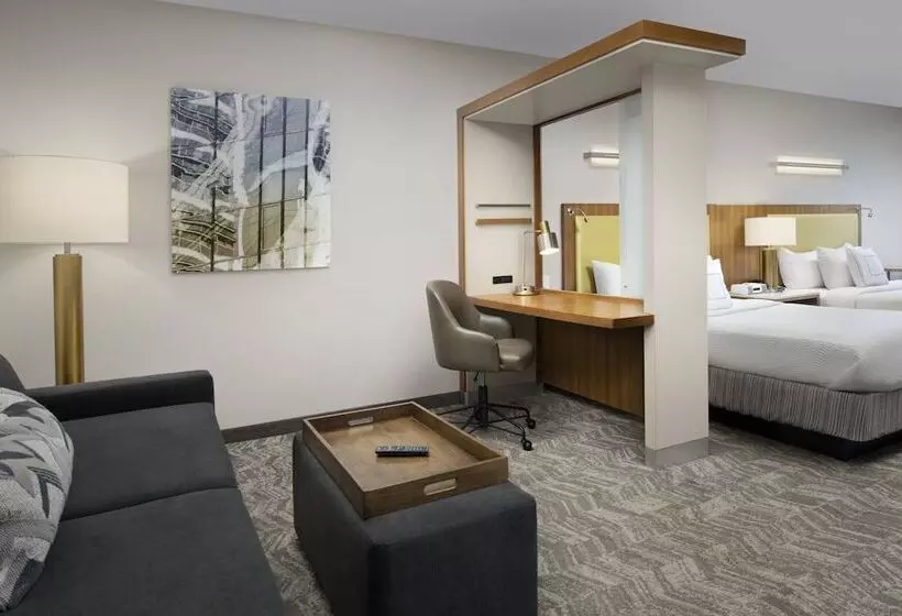 スタンダードスタジオ, Springhill Suites Potomac Mills Woodbridge