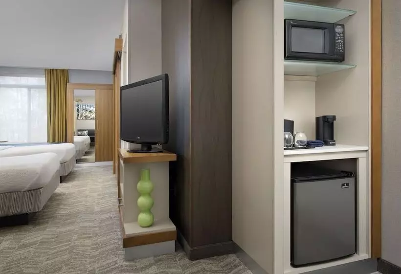 スタンダードスタジオ, Springhill Suites Potomac Mills Woodbridge