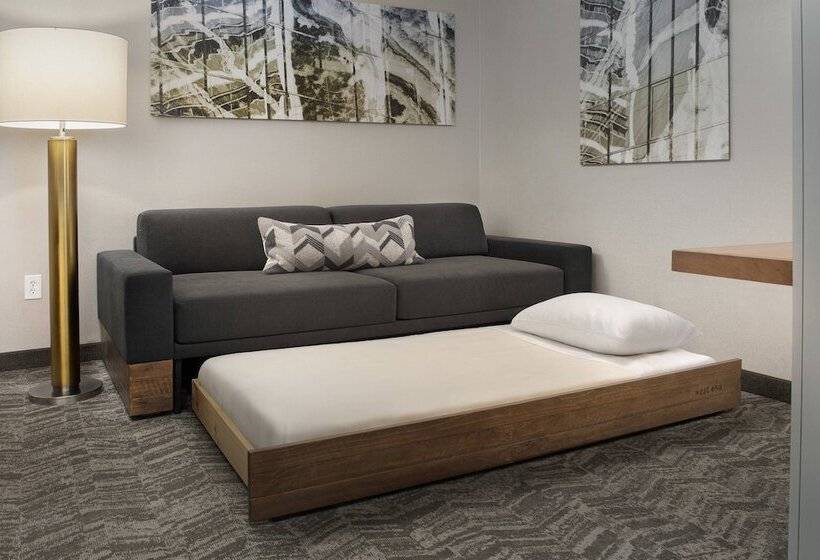Студия Стандарт, Springhill Suites Potomac Mills Woodbridge