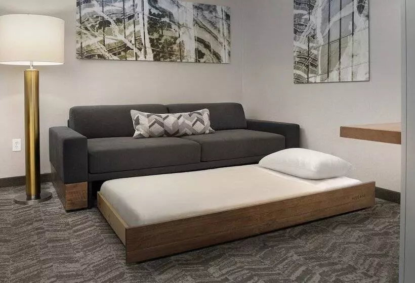 スタンダードスタジオ, Springhill Suites Potomac Mills Woodbridge