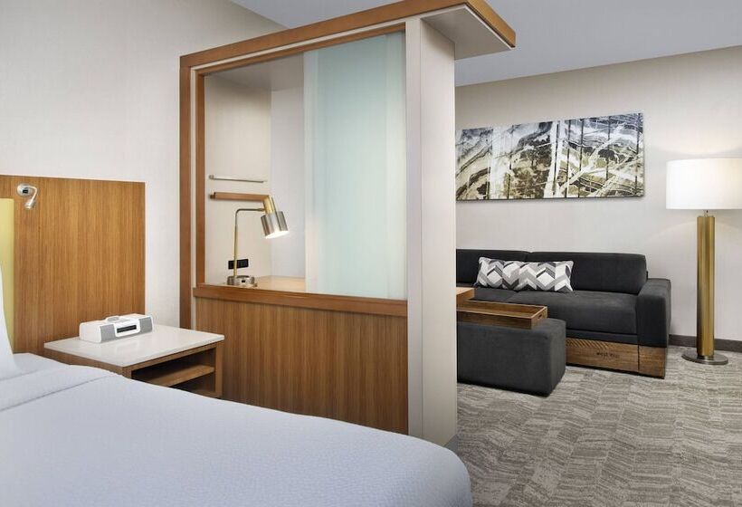 إستوديو قياسى, Springhill Suites Potomac Mills Woodbridge