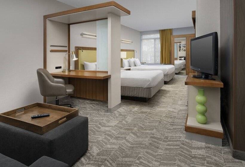 إستوديو قياسى, Springhill Suites Potomac Mills Woodbridge