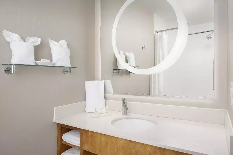 キングサイドベッドのスタンダードワンルーム, Springhill Suites Potomac Mills Woodbridge