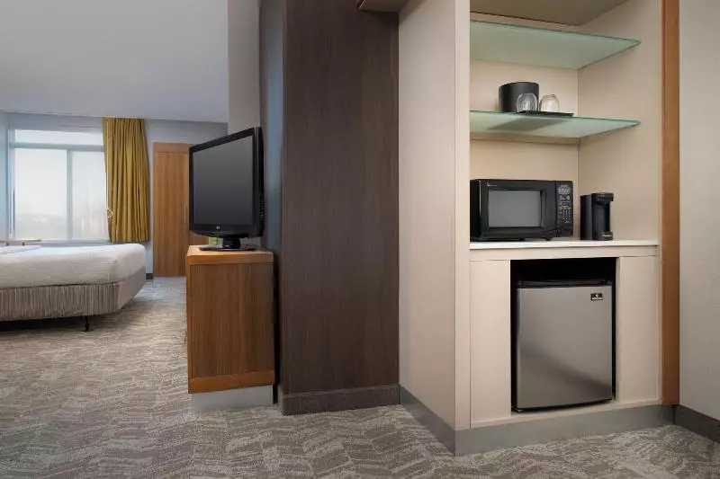 キングサイドベッドのスタンダードワンルーム, Springhill Suites Potomac Mills Woodbridge