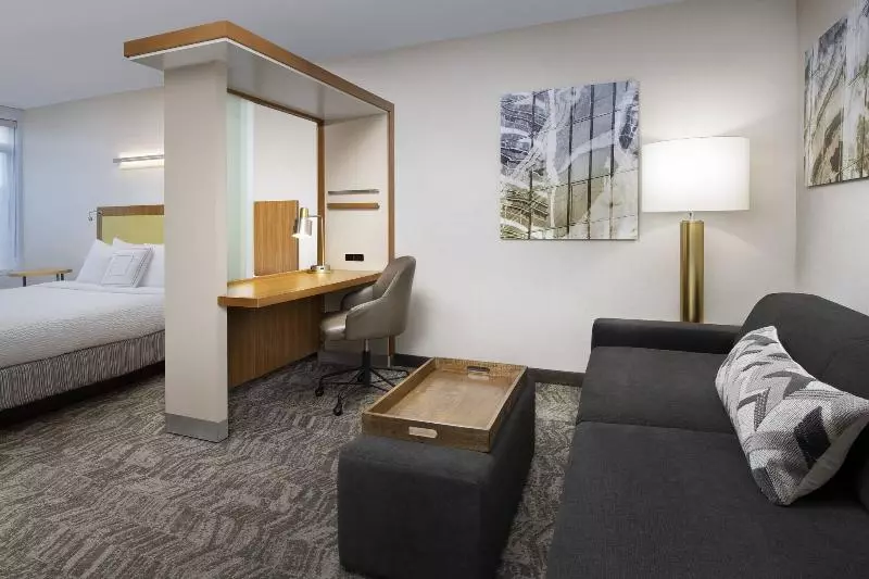 キングサイドベッドのスタンダードワンルーム, Springhill Suites Potomac Mills Woodbridge