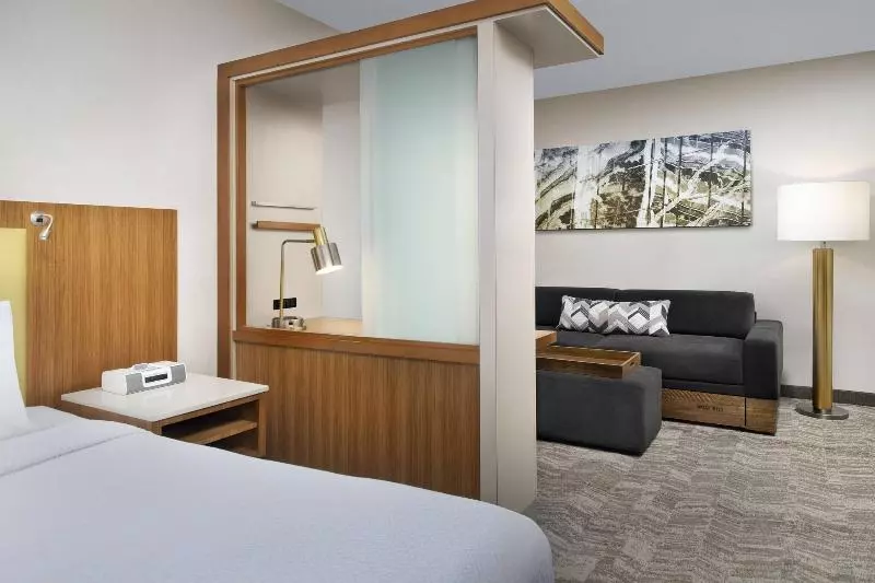 キングサイドベッドのスタンダードワンルーム, Springhill Suites Potomac Mills Woodbridge